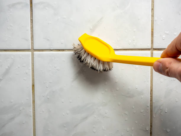 Best Local Mold Removal Service  in Shenandoah Farms, VA