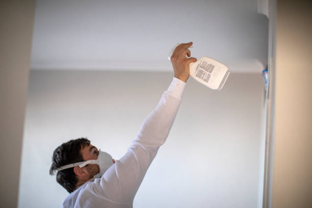 Home Mold Removal in Shenandoah Farms, VA