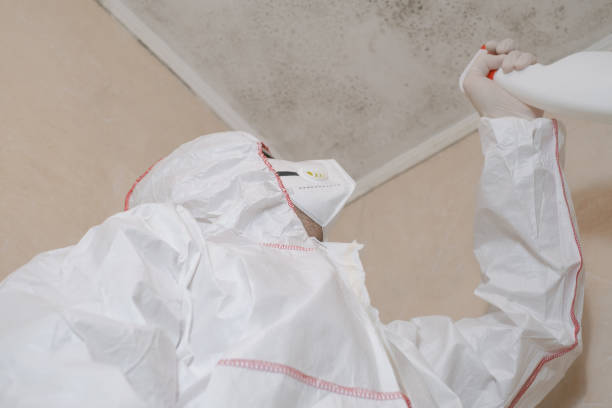 Best Mold Testing  in Shenandoah Farms, VA