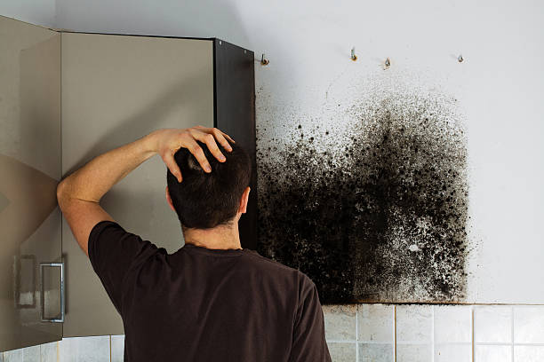 Best Residential Mold Removal  in Shenandoah Farms, VA